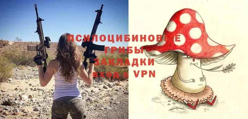 hydra маркетплейс  Болотное  Галлюциногенные грибы Magic Shrooms 